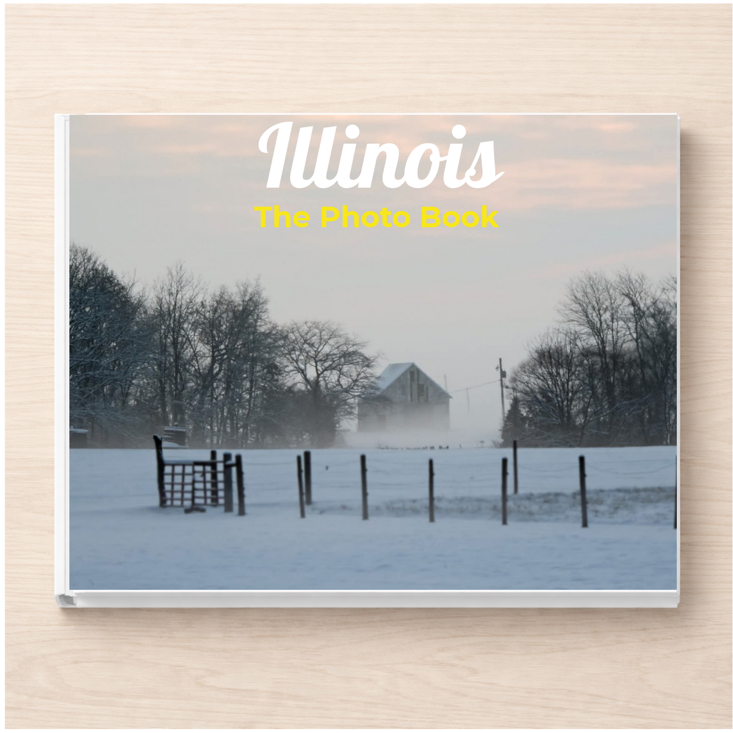 Illinois: The Photo Book