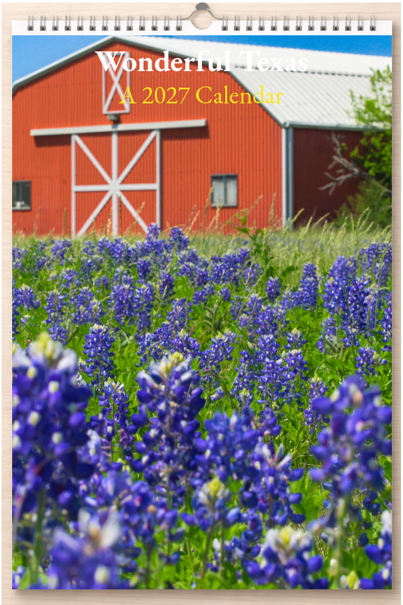 Wonderful Texas: A 2027 Calendar