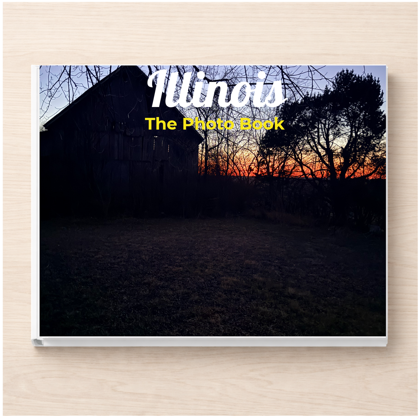 Illinois: The Photo Book