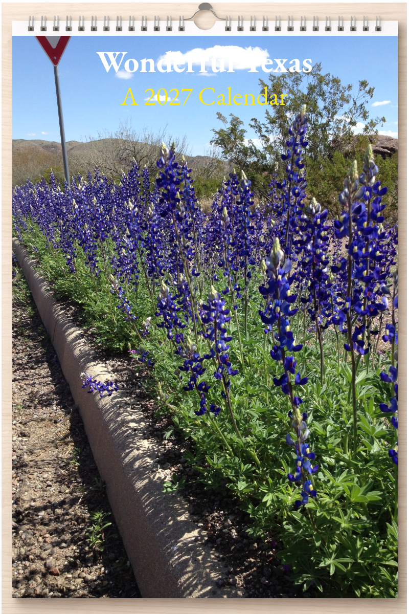 Wonderful Texas: A 2027 Calendar