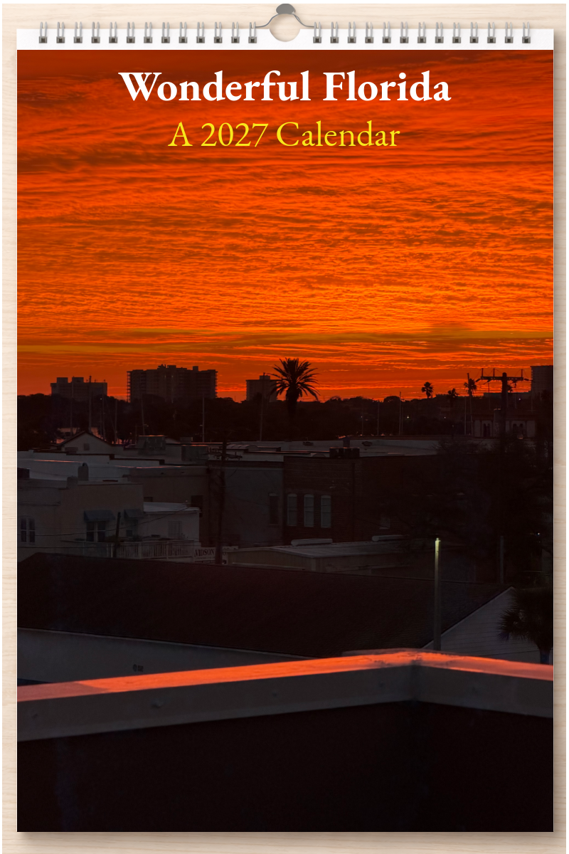 Wonderful Florida: A 2027 Calendar