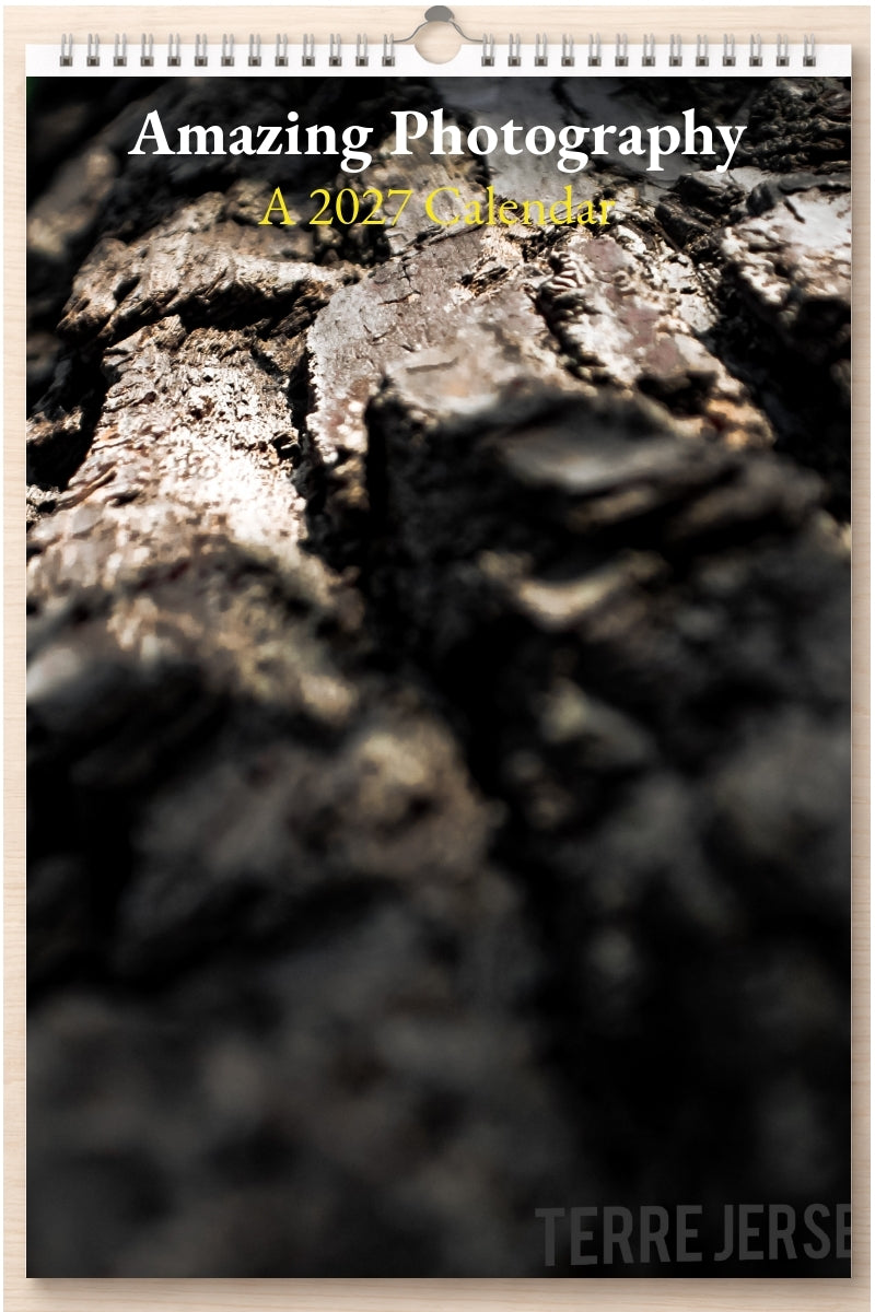 Amazing Photography: A 2027 Calendar