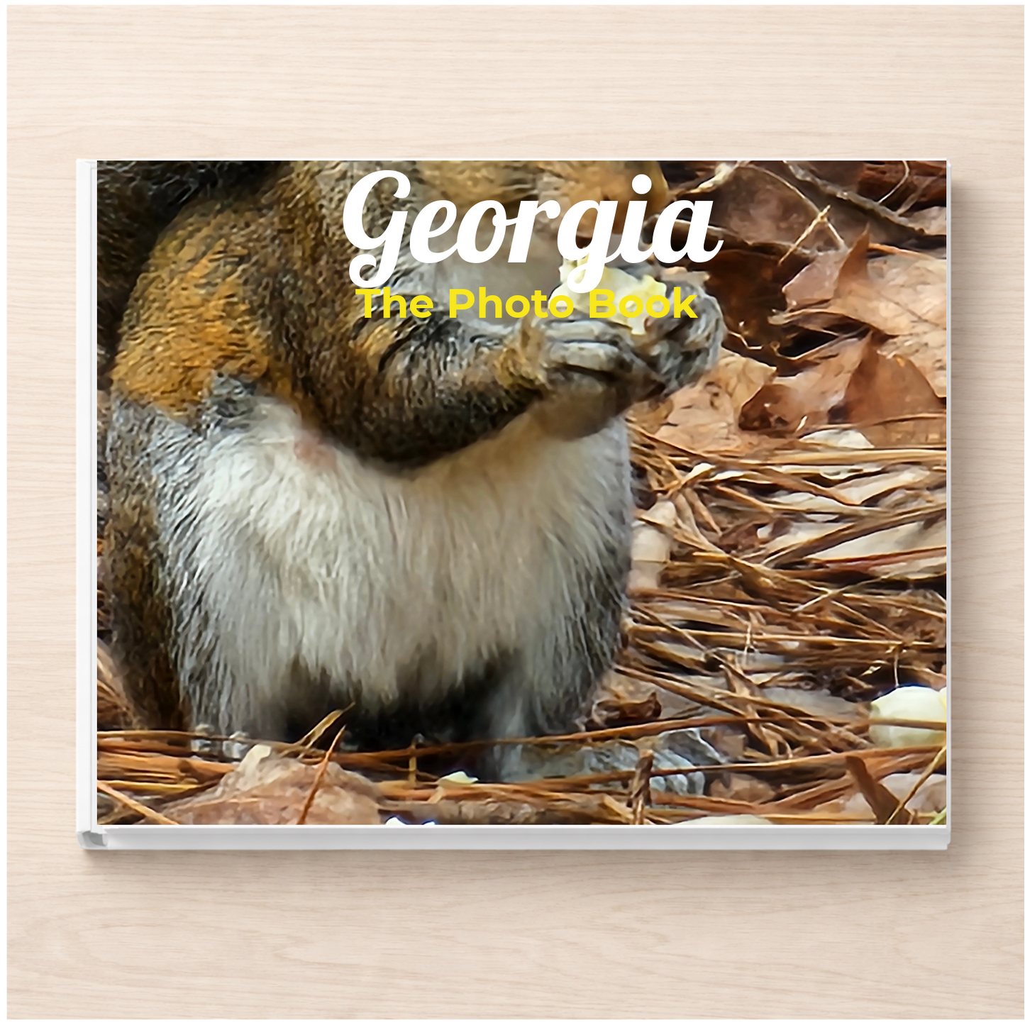Georgia: The Photo Book