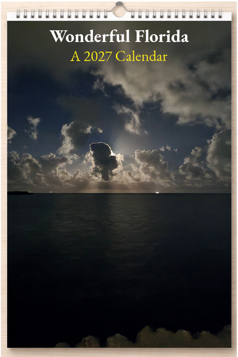 Wonderful Florida: A 2027 Calendar
