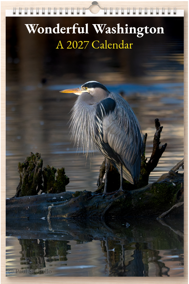 Wonderful Washington: A 2027 Calendar