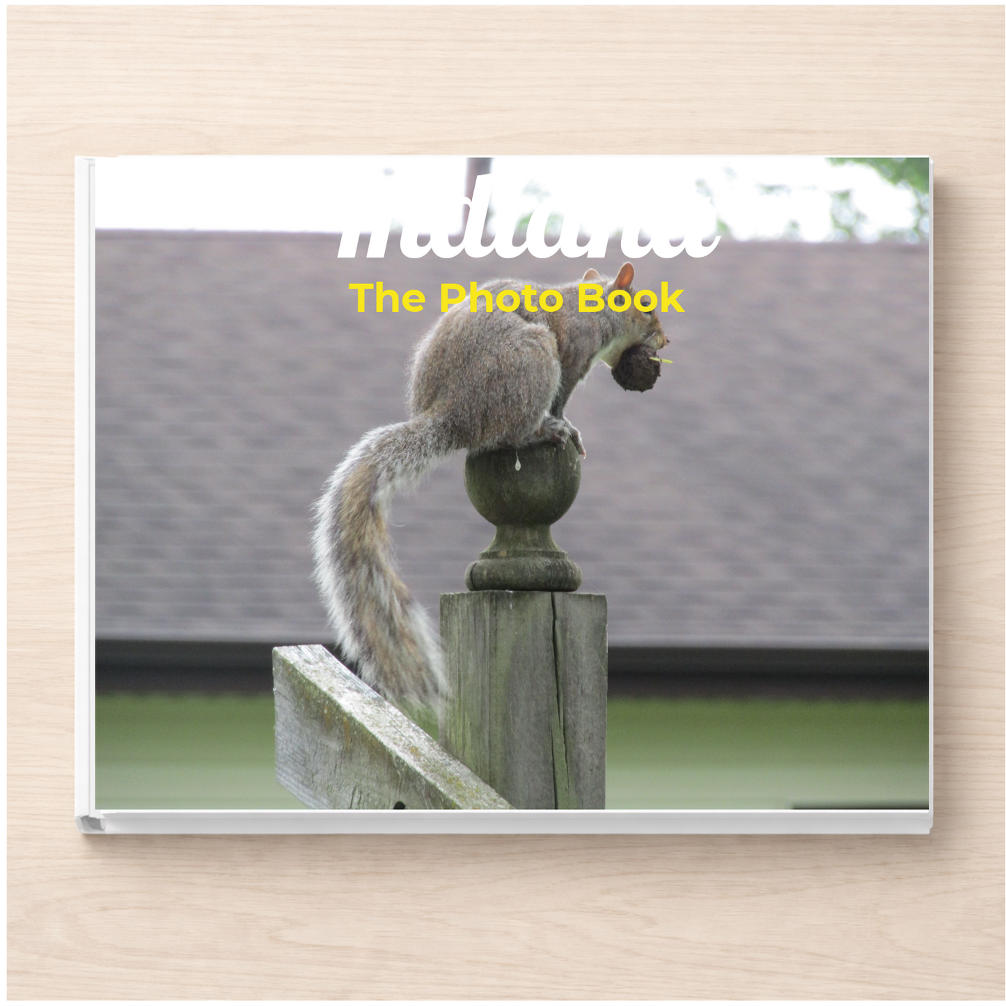 Indiana: The Photo Book