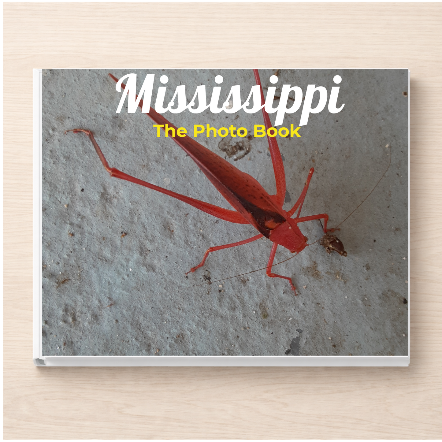 Mississippi: The Photo Book