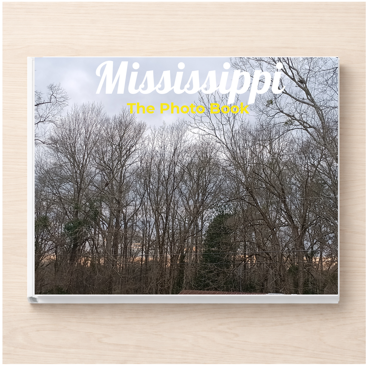 Mississippi: The Photo Book