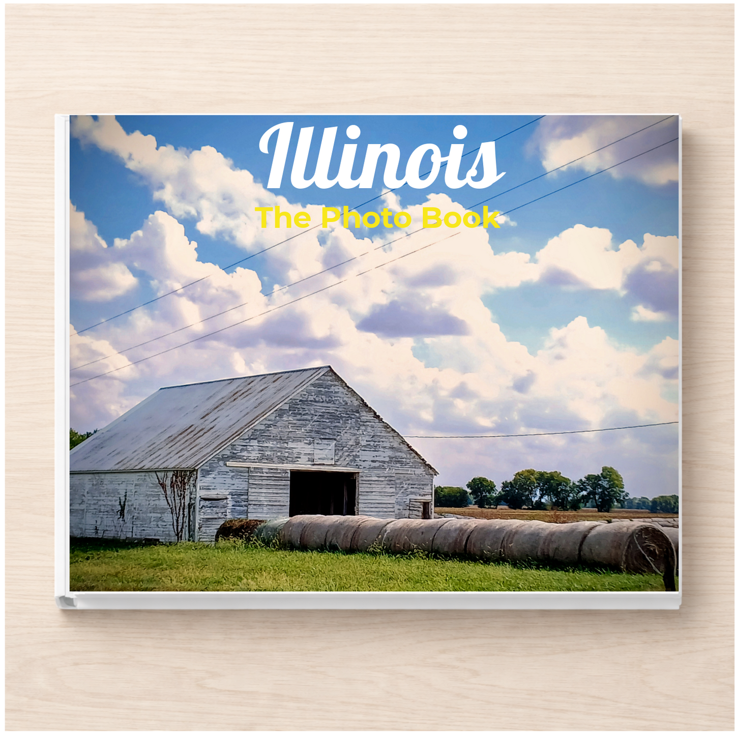 Illinois: The Photo Book