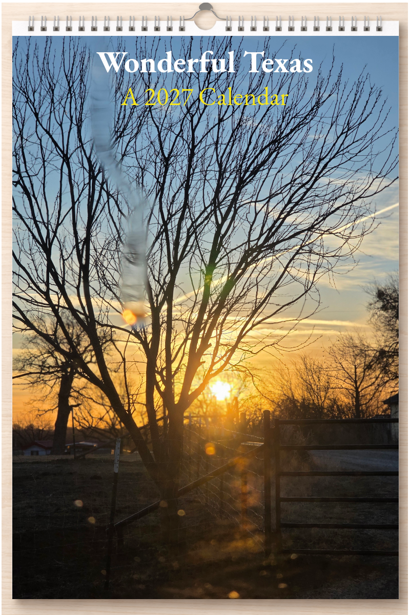 Wonderful Texas: A 2027 Calendar