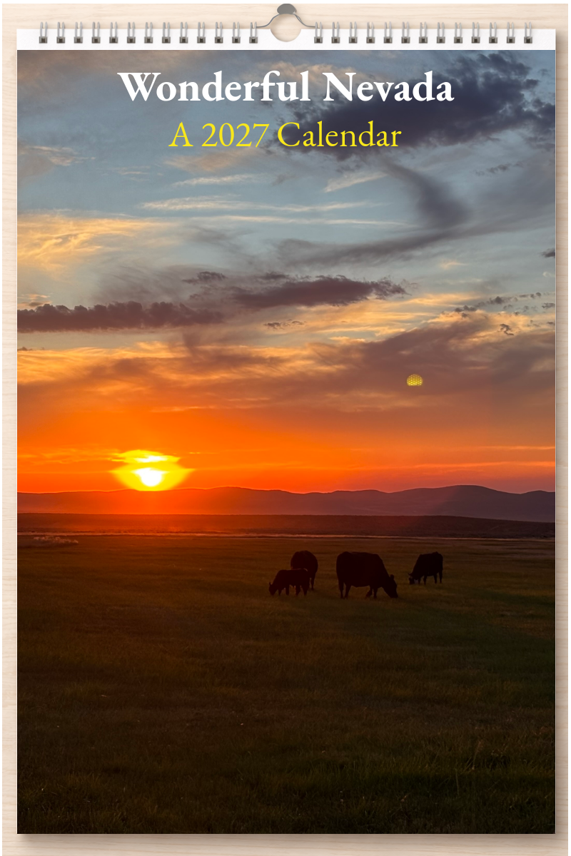 Wonderful Nevada: A 2027 Calendar