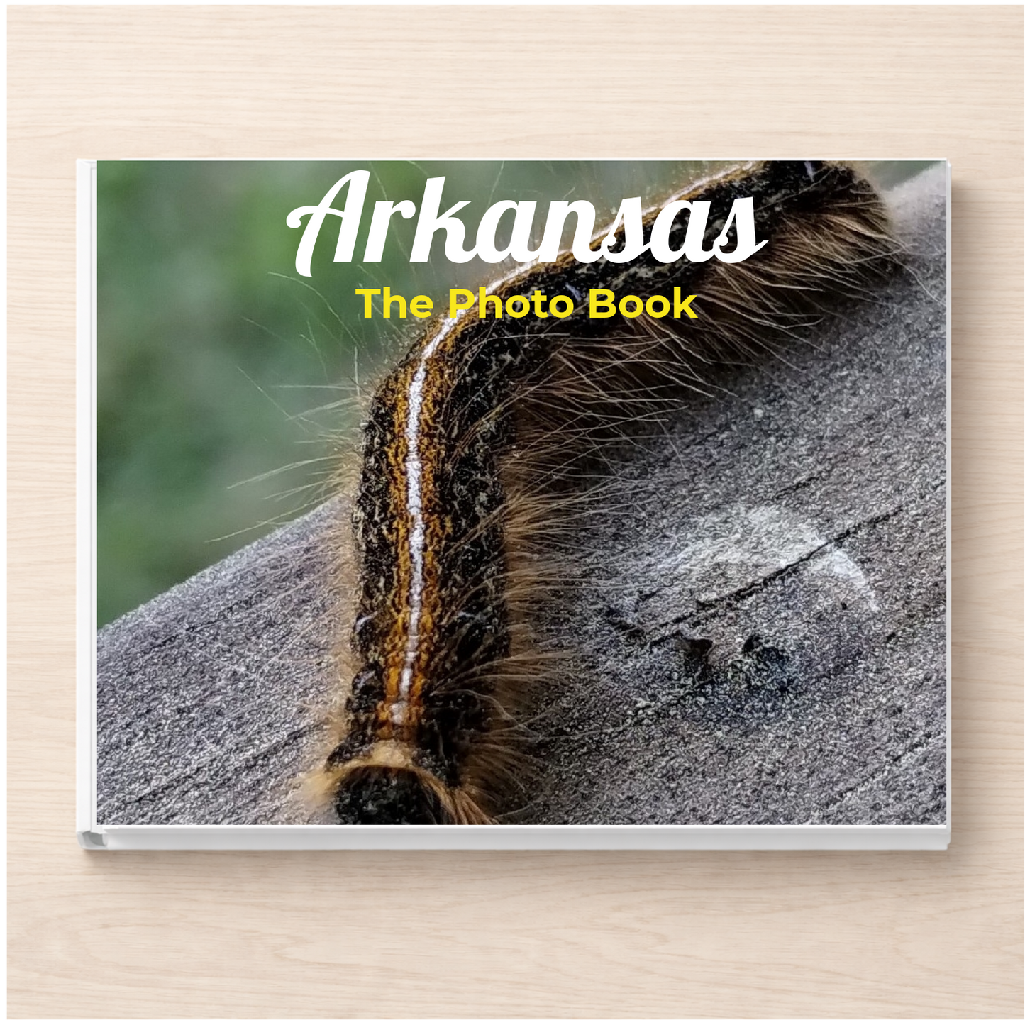 Arkansas: The Photo Book