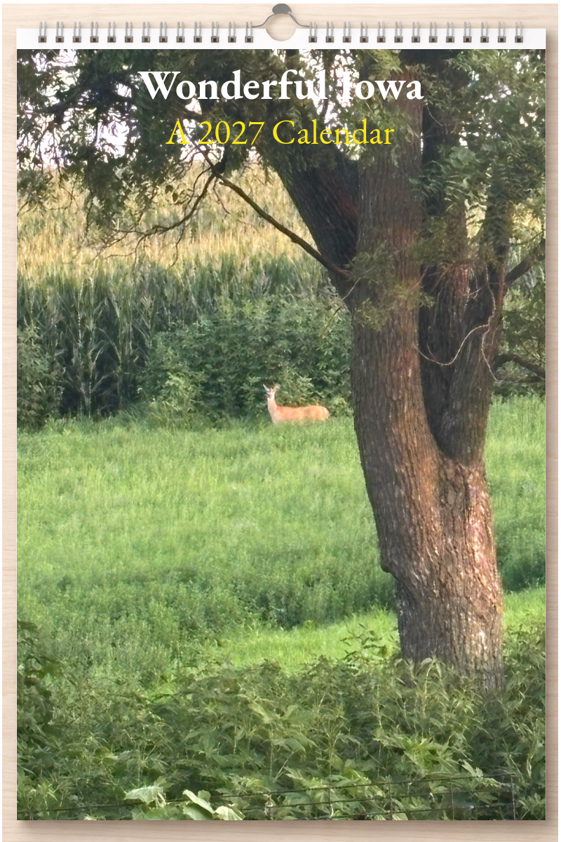 Wonderful Iowa: A 2027 Calendar
