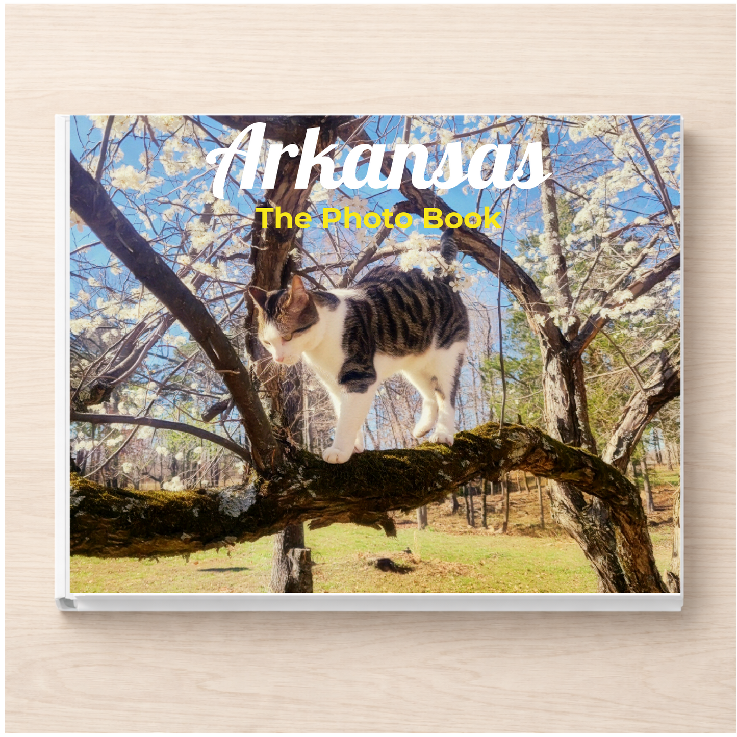 Arkansas: The Photo Book
