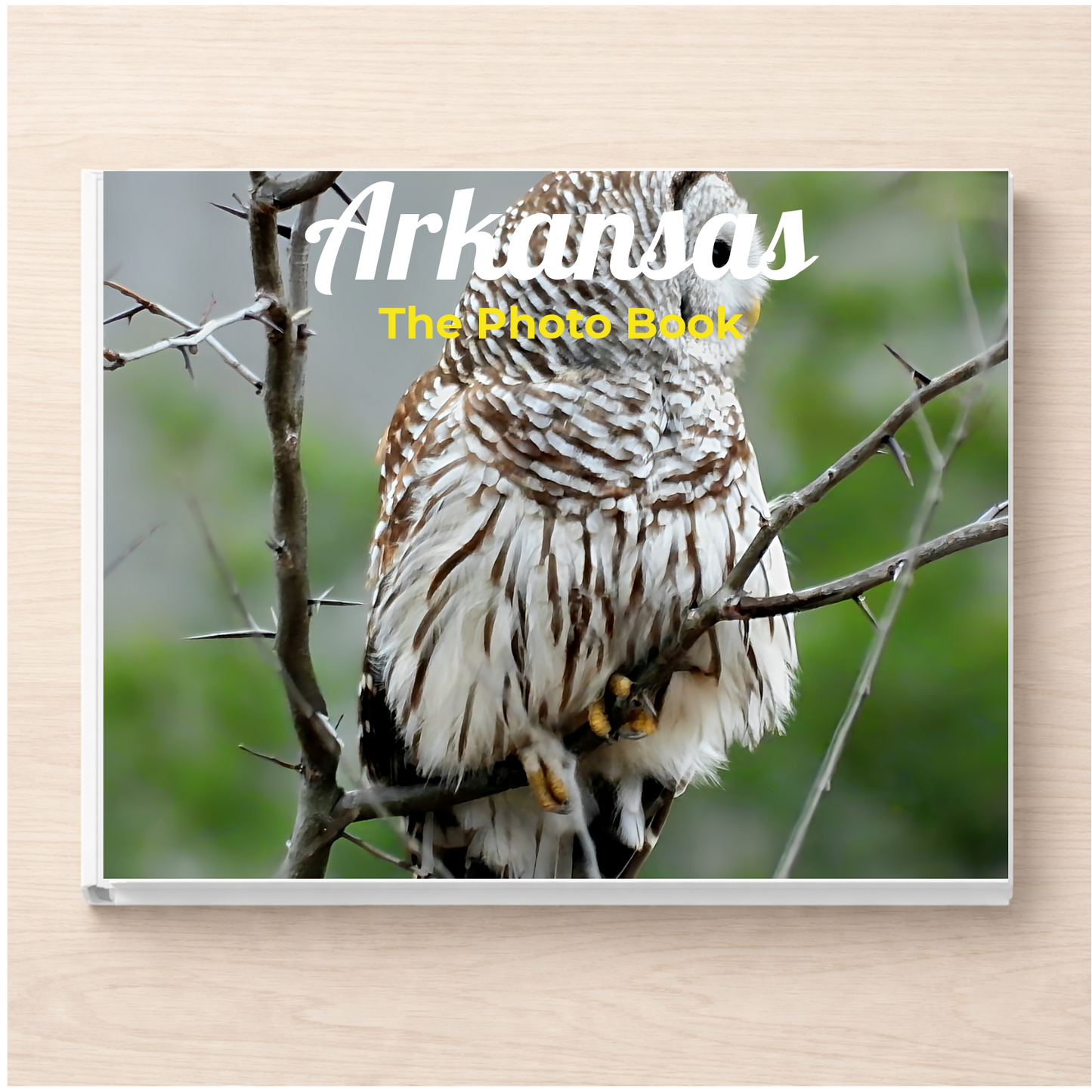 Arkansas: The Photo Book