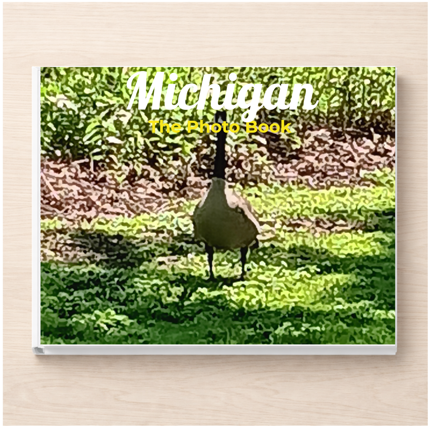 Michigan: The Photo Book
