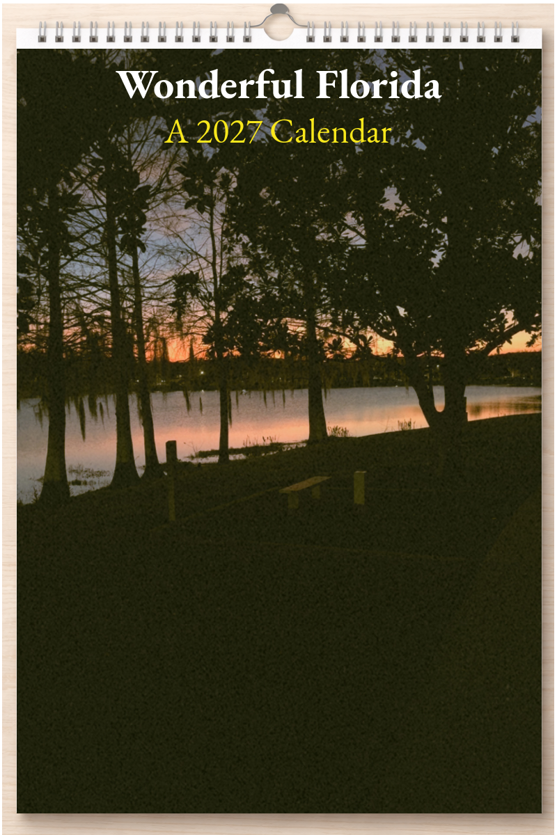 Wonderful Florida: A 2027 Calendar