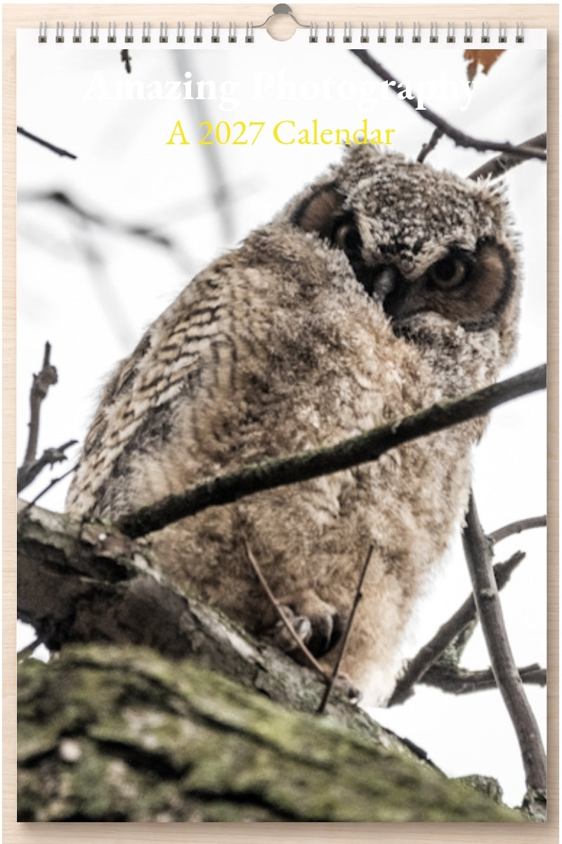 Amazing Photography: A 2027 Calendar