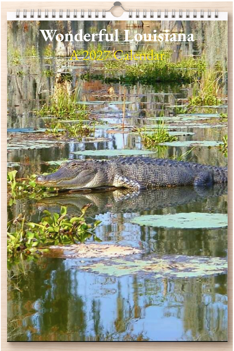 Wonderful Louisiana: A 2027 Calendar
