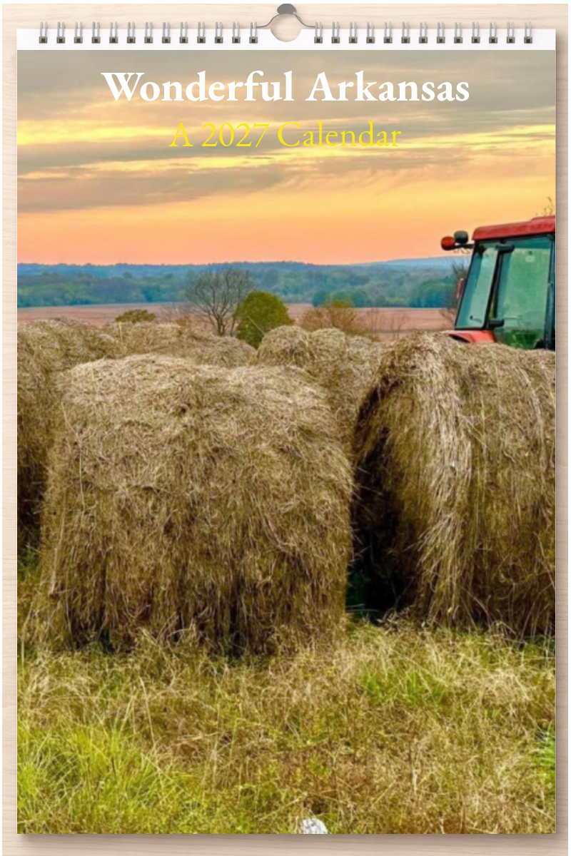 Wonderful Arkansas: A 2027 Calendar