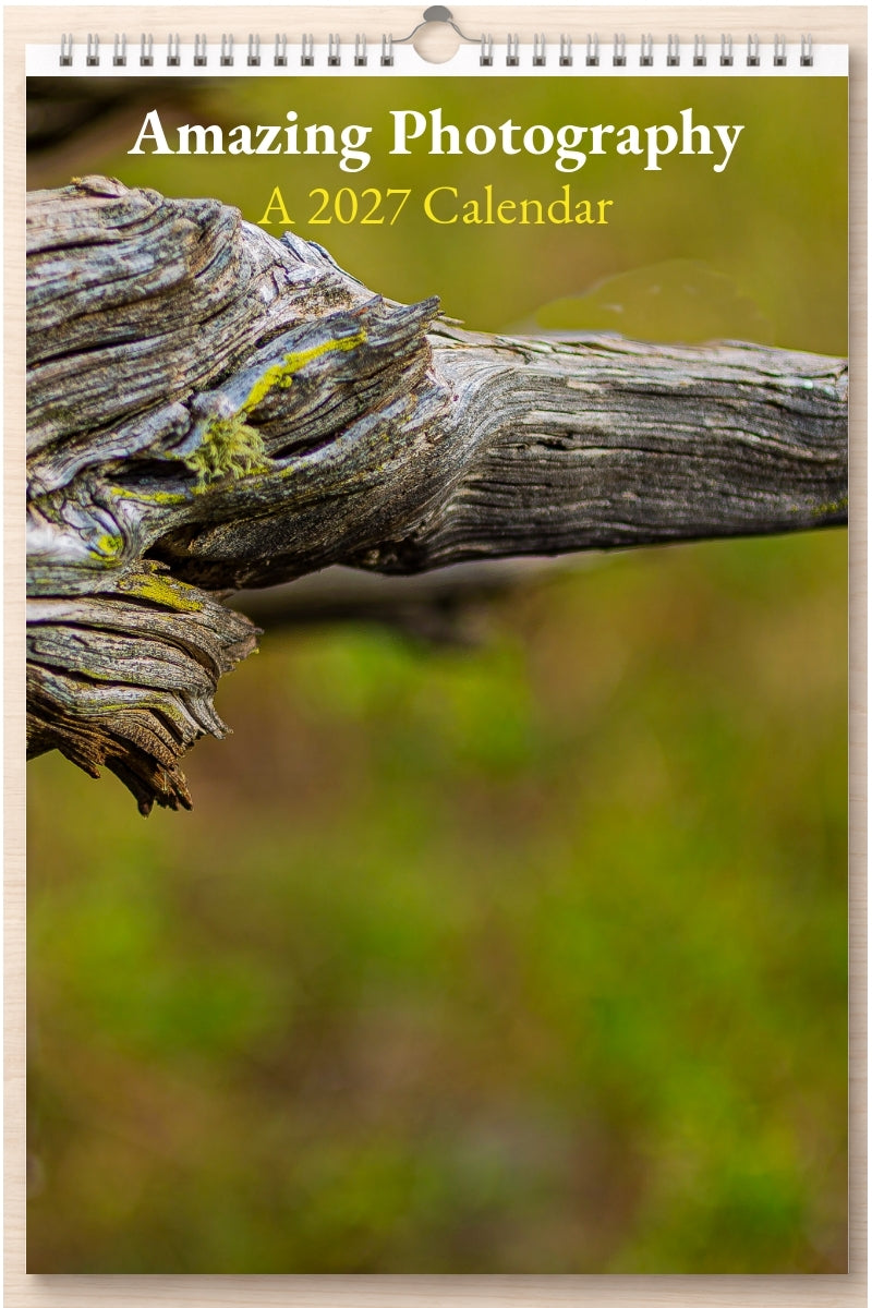 Amazing Photography: A 2027 Calendar