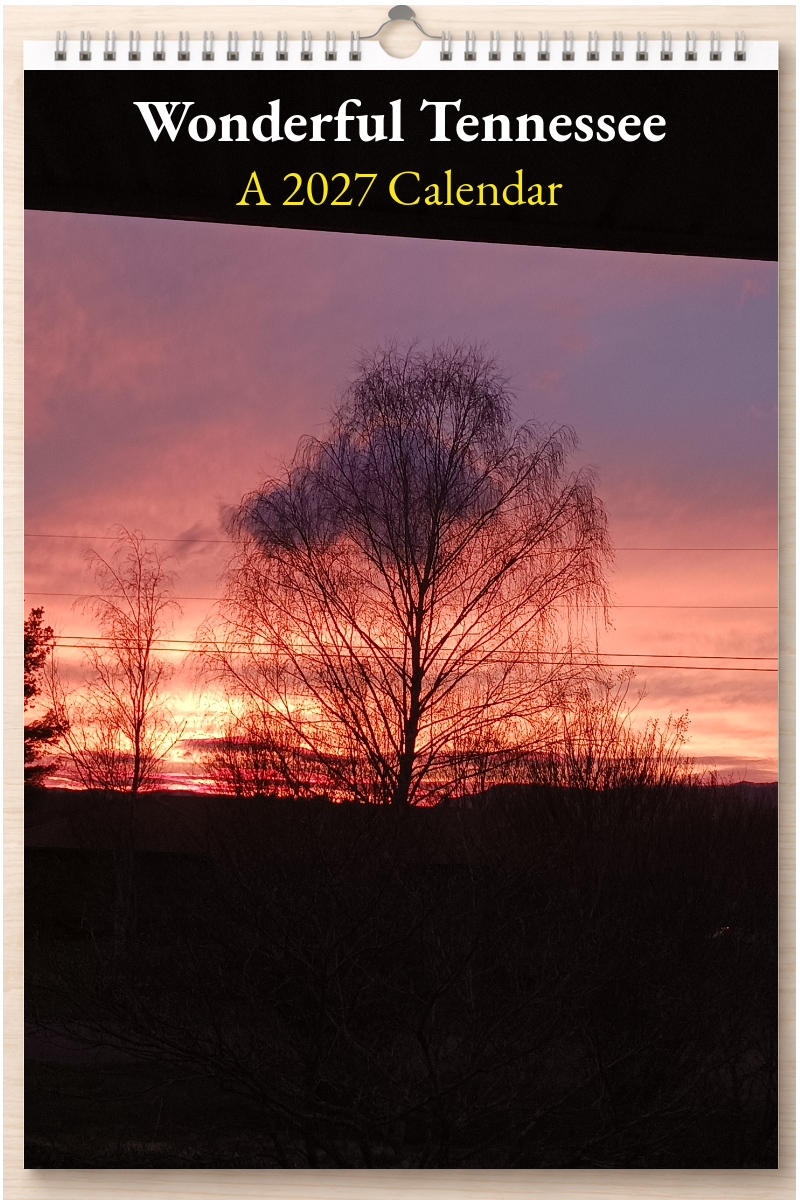 Wonderful Tennessee: A 2027 Calendar