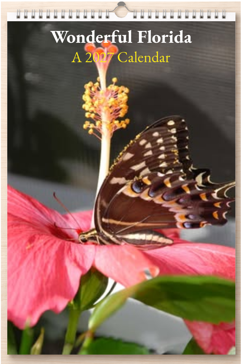 Wonderful Florida: A 2027 Calendar