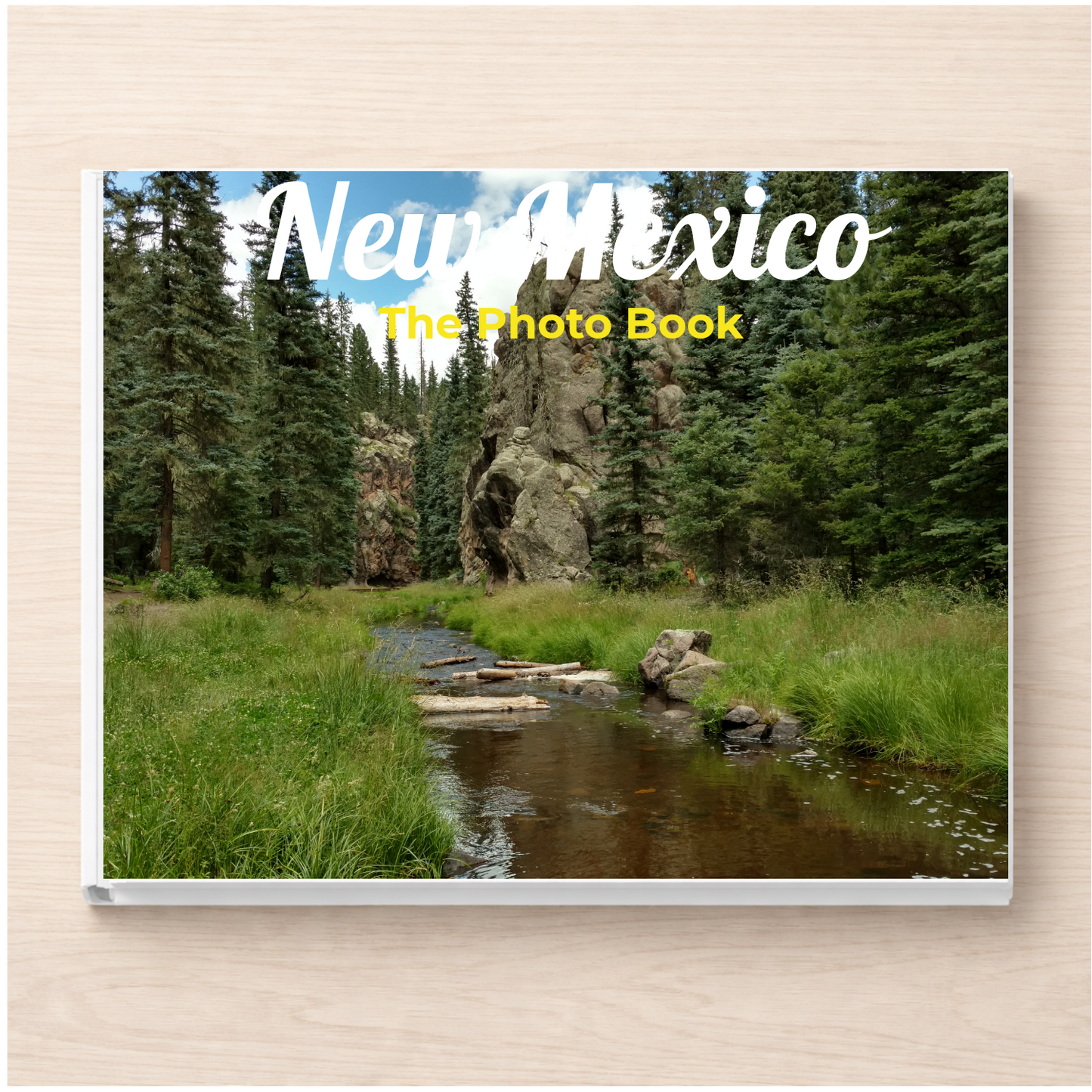 New Mexico: The Photo Book