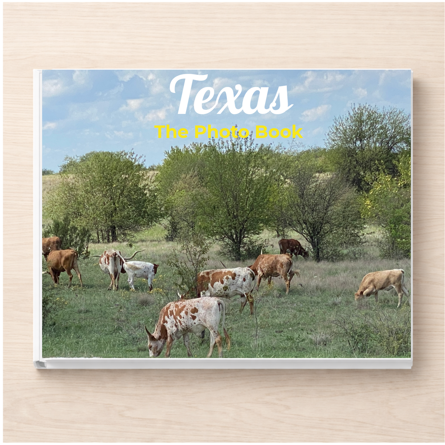 Texas: The Photo Book