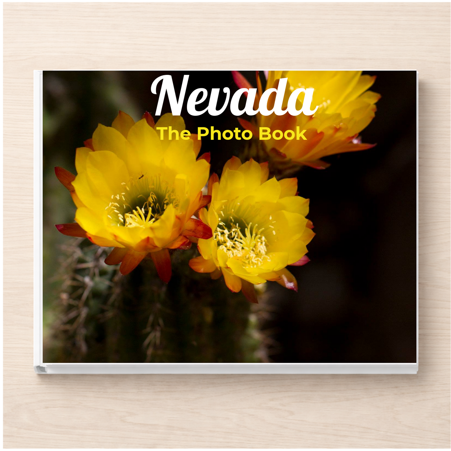 Nevada: The Photo Book