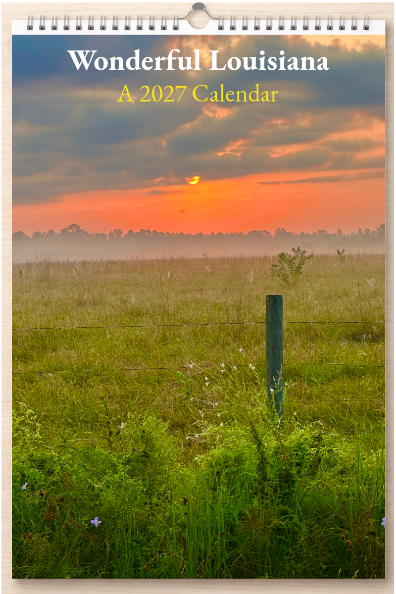 Wonderful Louisiana: A 2027 Calendar