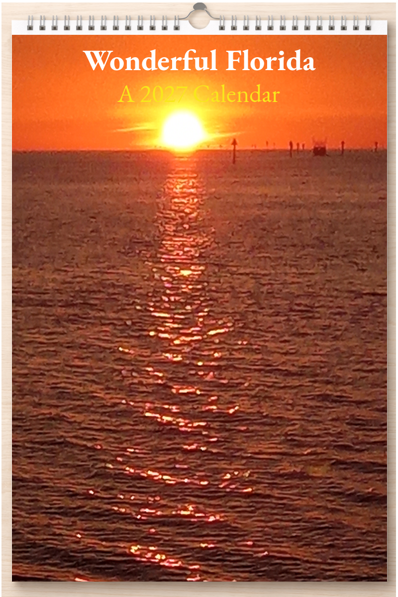 Wonderful Florida: A 2027 Calendar