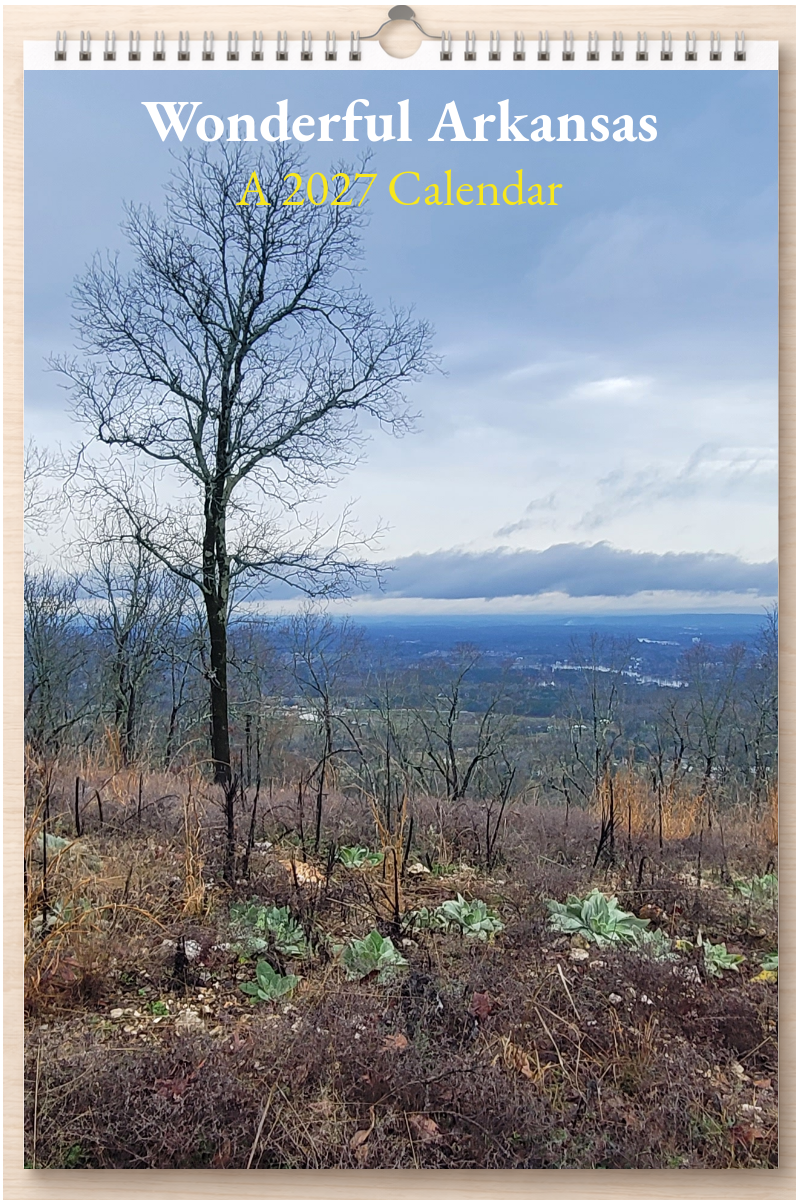Wonderful Arkansas: A 2027 Calendar