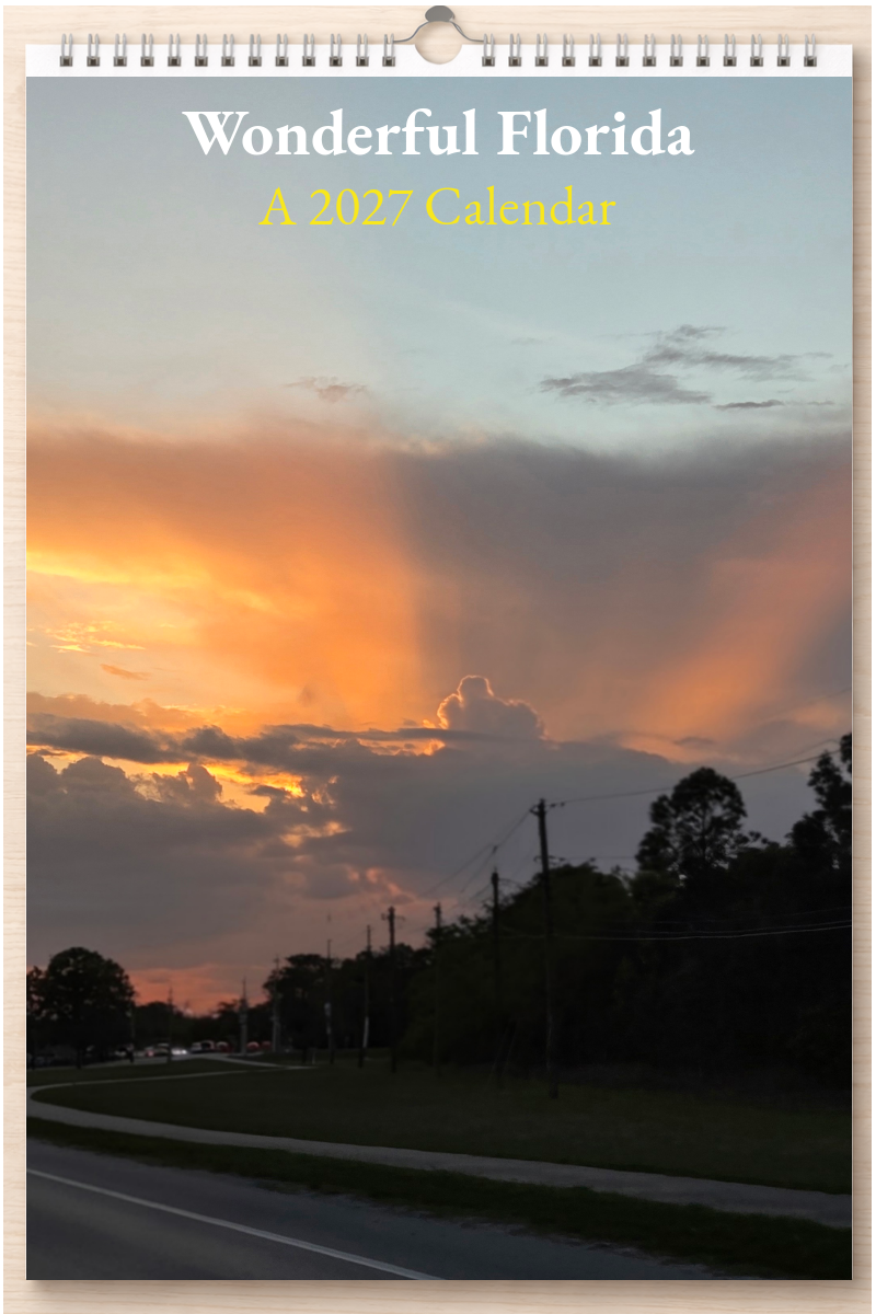 Wonderful Florida: A 2027 Calendar