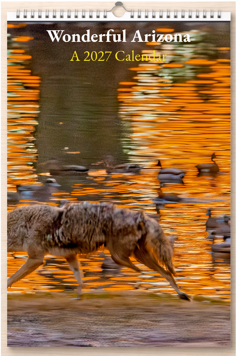 Wonderful Arizona: A 2027 Calendar