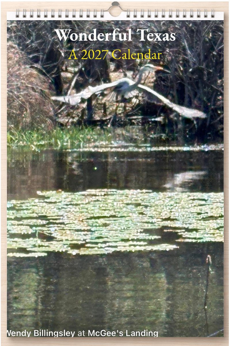Wonderful Texas: A 2027 Calendar