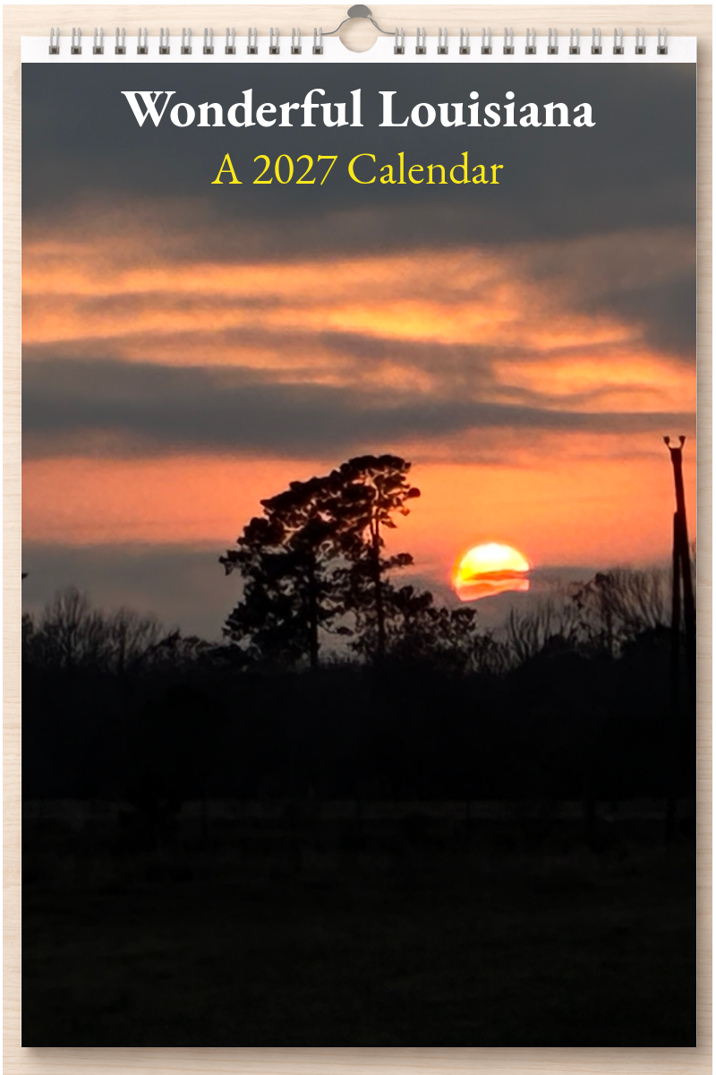 Wonderful Louisiana: A 2027 Calendar