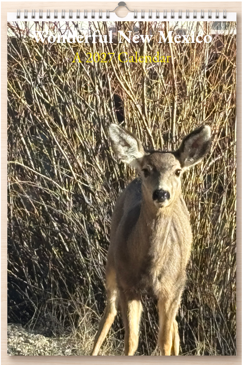Wonderful New Mexico: A 2027 Calendar