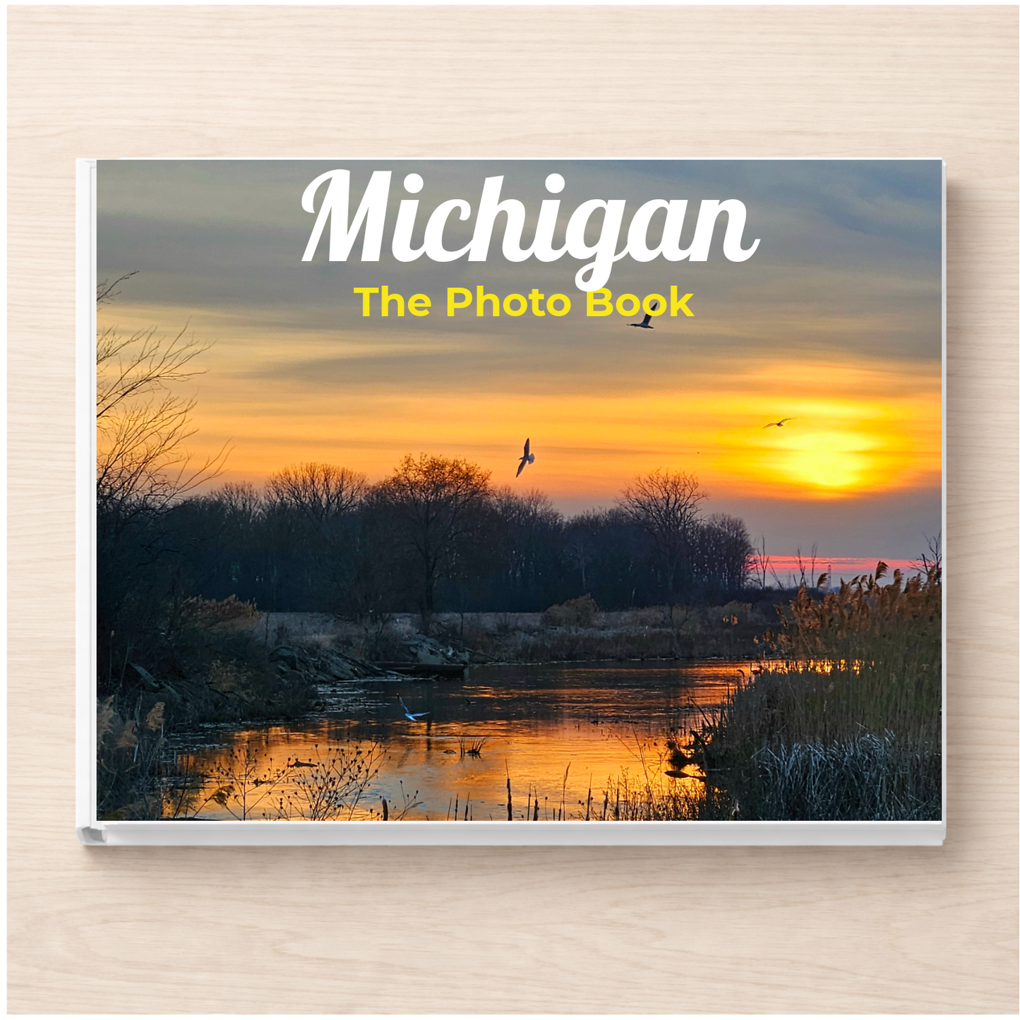 Michigan: The Photo Book
