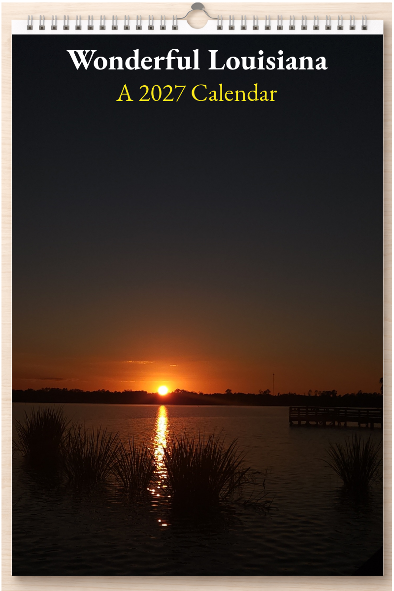 Wonderful Louisiana: A 2027 Calendar