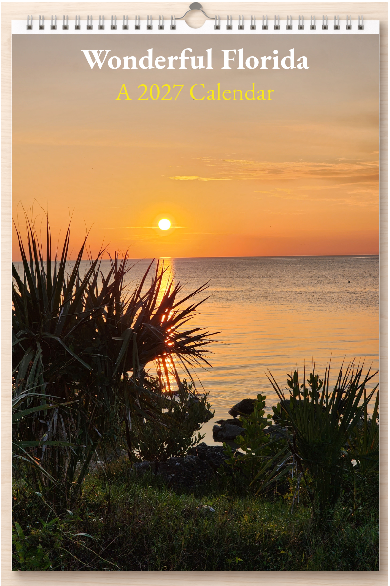 Wonderful Florida: A 2027 Calendar