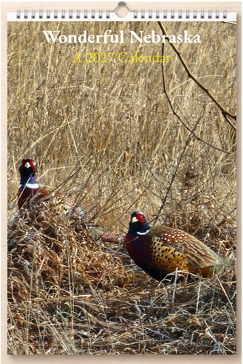 Wonderful Nebraska: A 2027 Calendar
