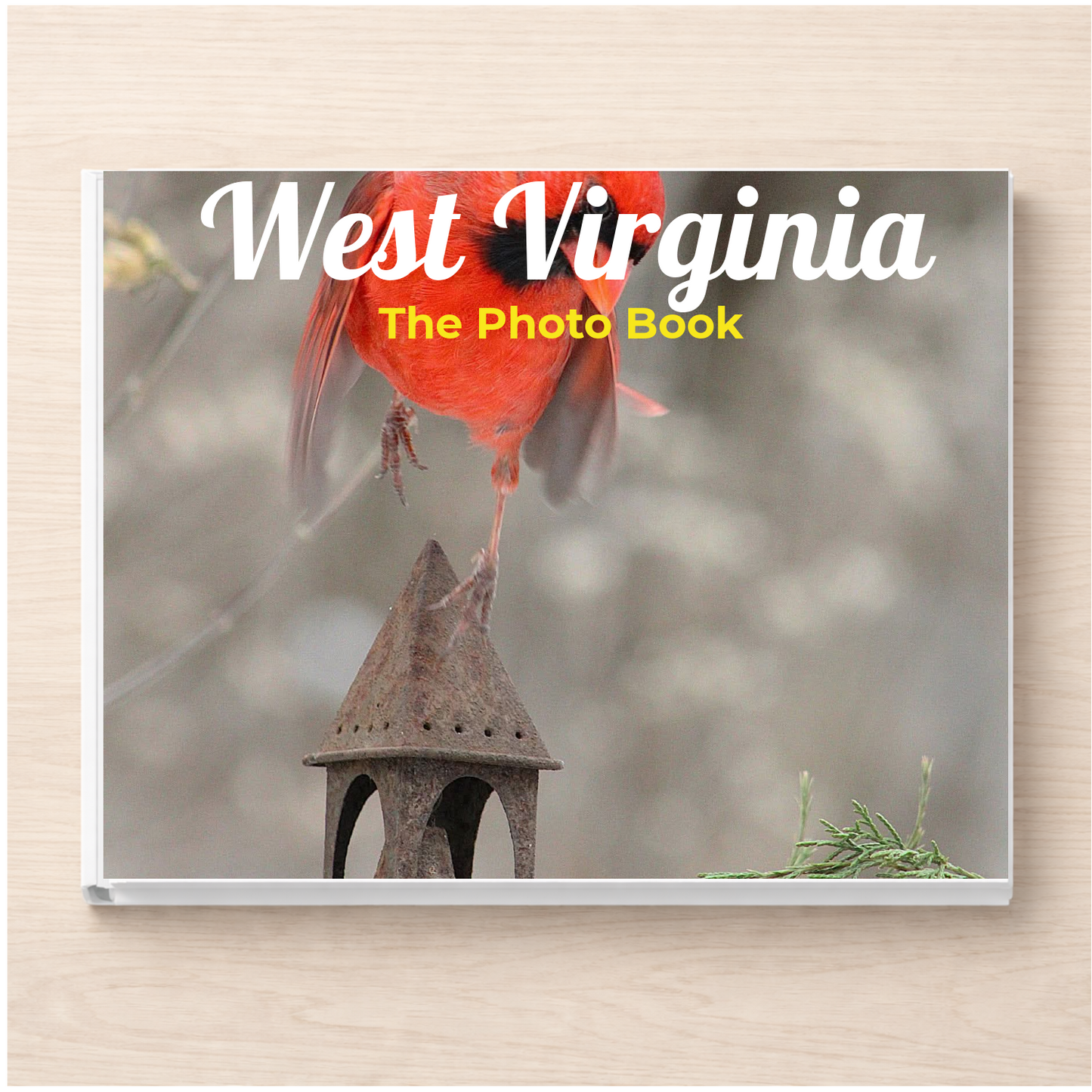 West Virginia: The Photo Book