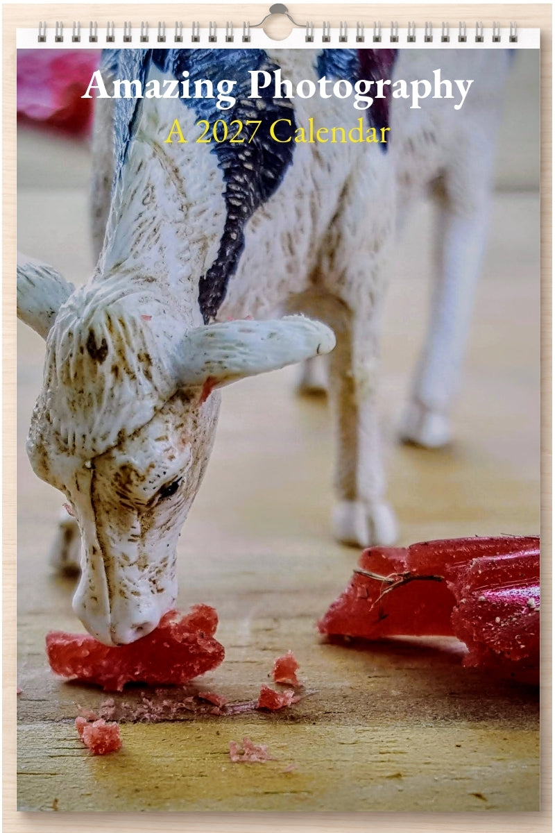 Amazing Photography: A 2027 Calendar