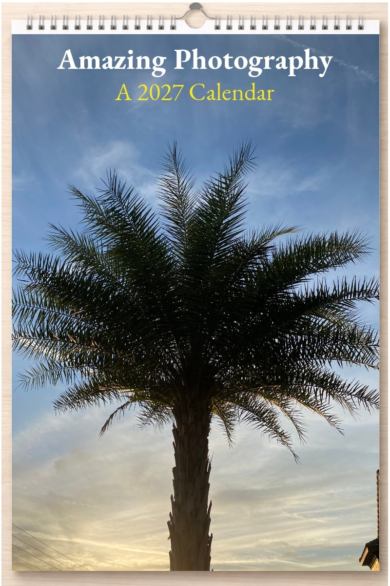 Amazing Photography: A 2027 Calendar