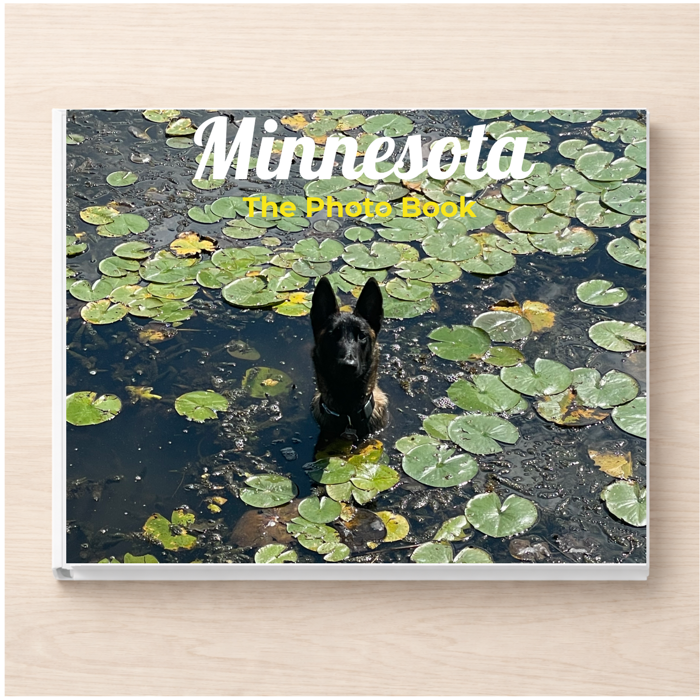 Minnesota: The Photo Book