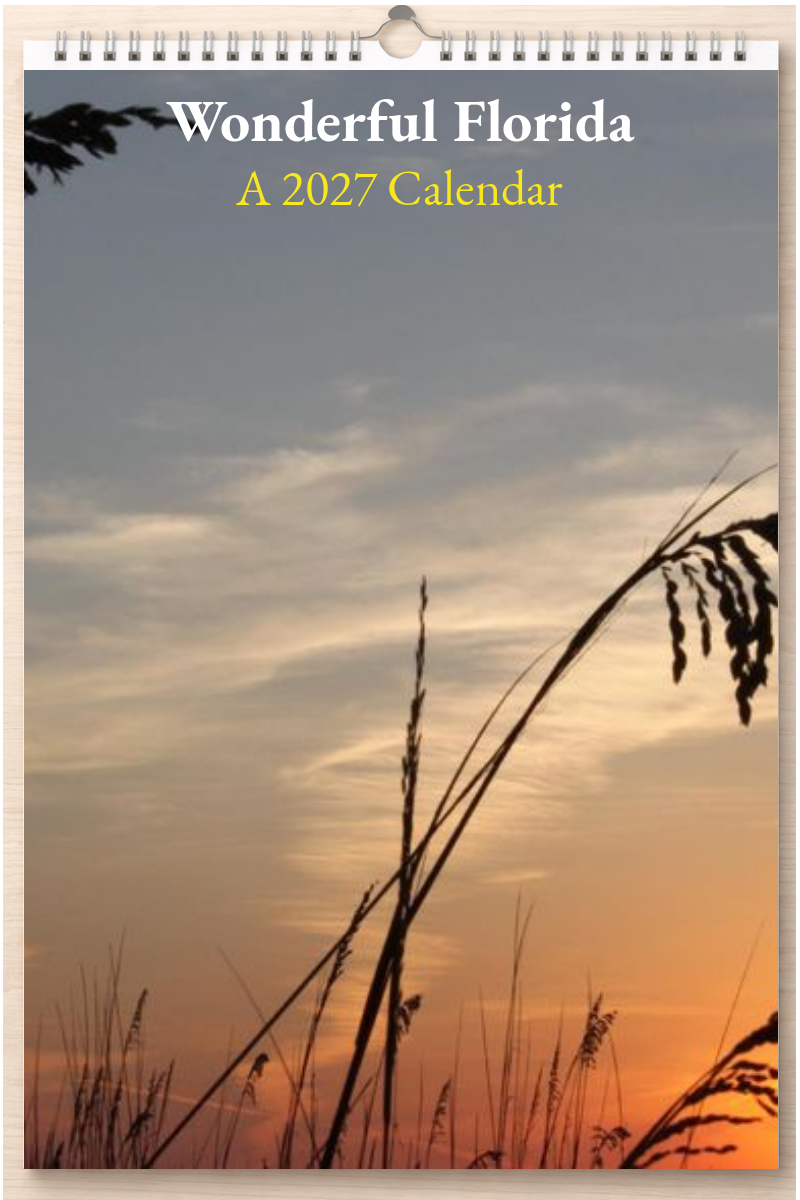 Wonderful Florida: A 2027 Calendar