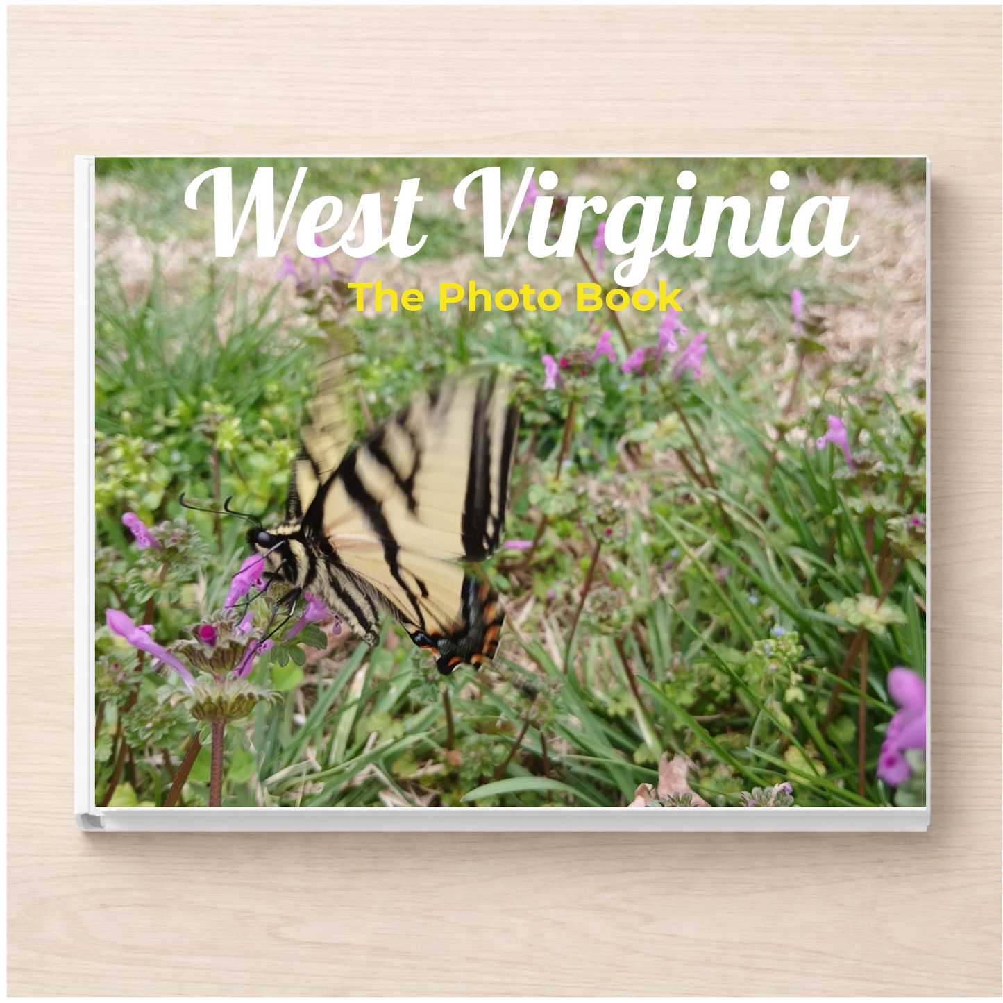 West Virginia: The Photo Book