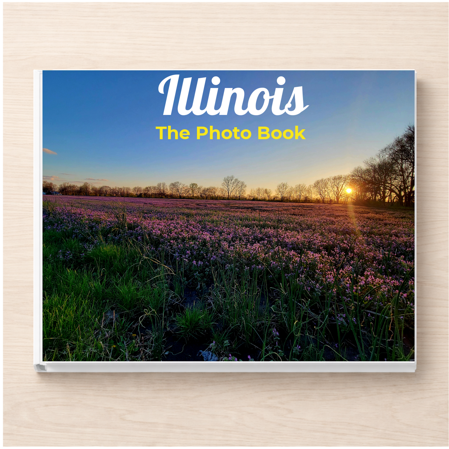 Illinois: The Photo Book