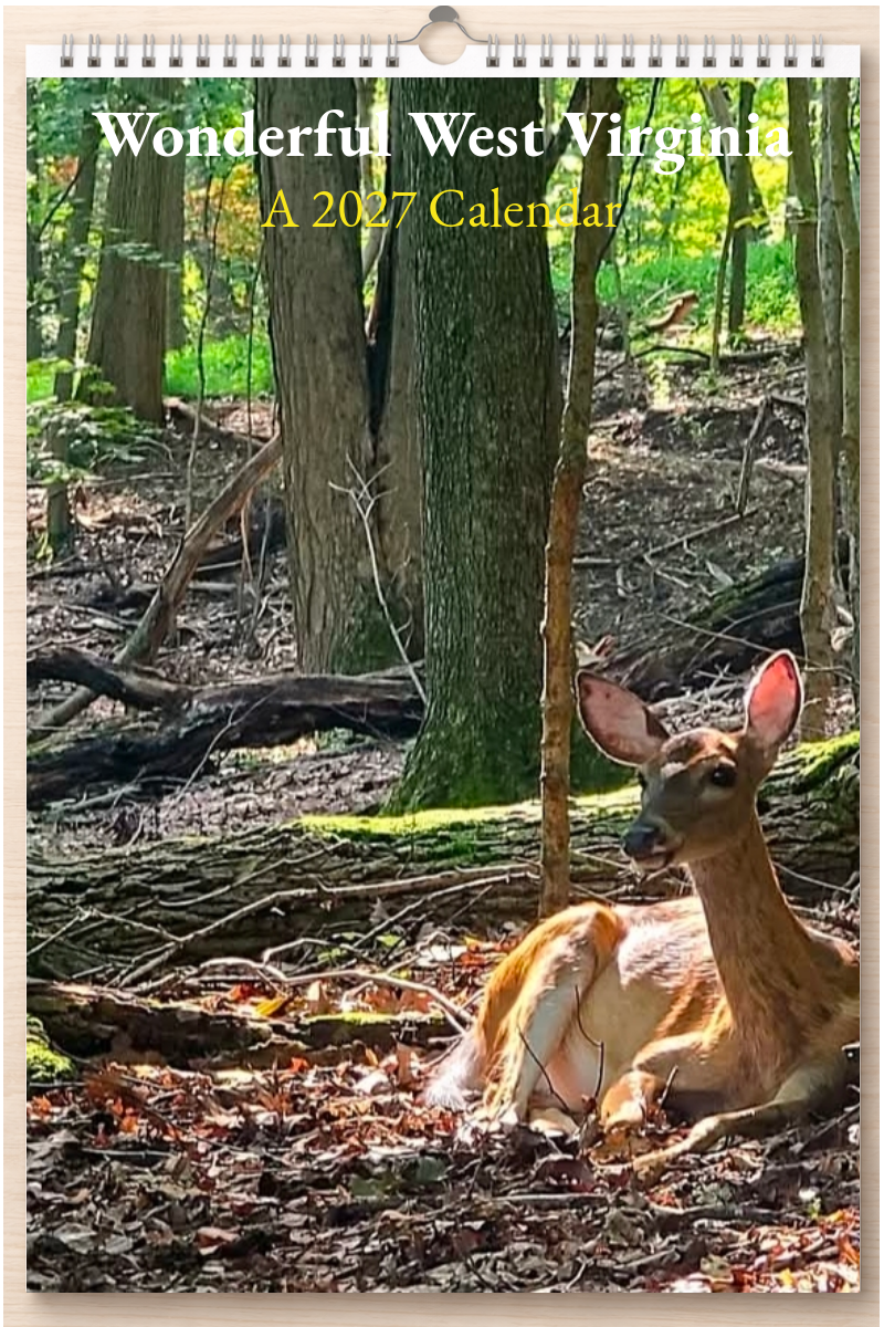Wonderful West Virginia: A 2027 Calendar